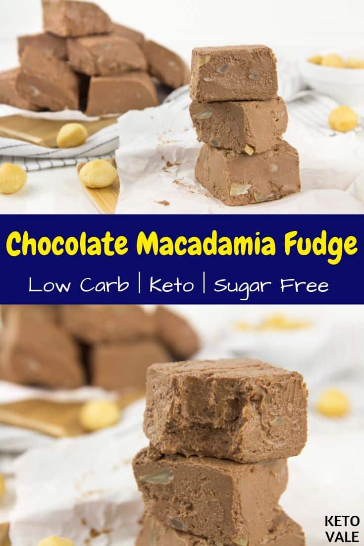 Keto Chocolate Fudge with Macadamia Sugar Free Recipe (2 Net Carbs ...