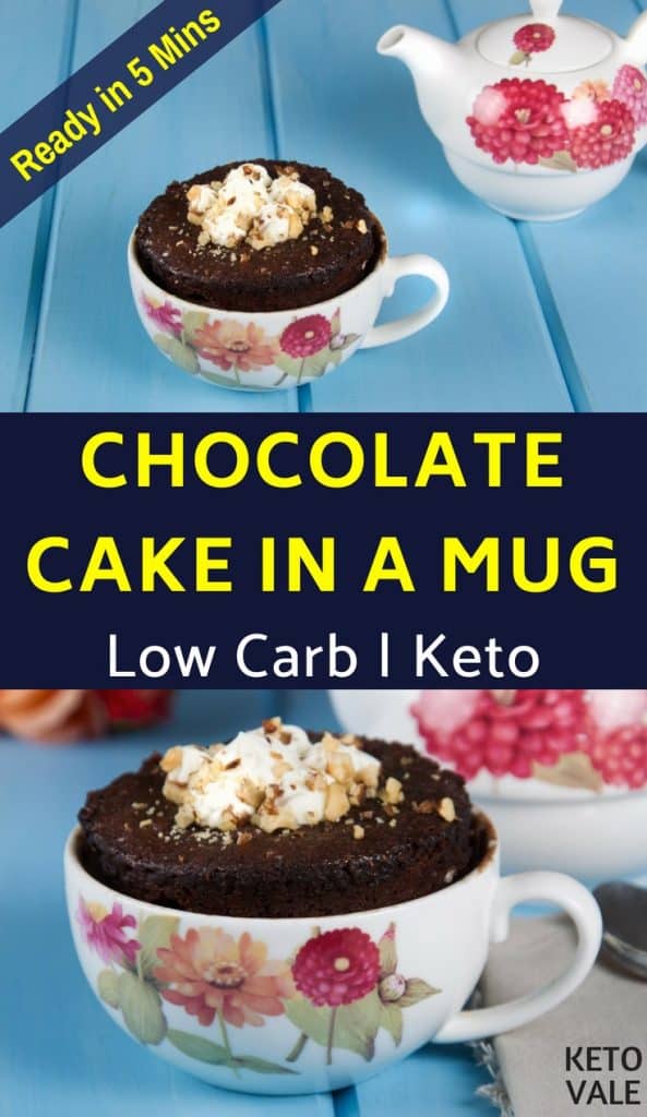 5-Minute Microwave Keto Chocolate Cake in a Mug | KetoVale