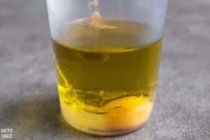 homemade olive oil mayo emulsion blender