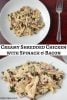 recipes using shredded chicken breast