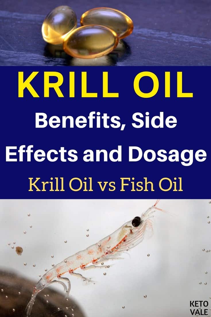 Krill Oil Benefits, Dosage, Side Effects vs Fish Oil